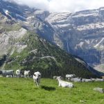 J4-Cirque-de-Gavarnie-06