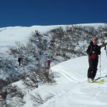 04-quelques-vernes-dans-la-descente-sur-roselend